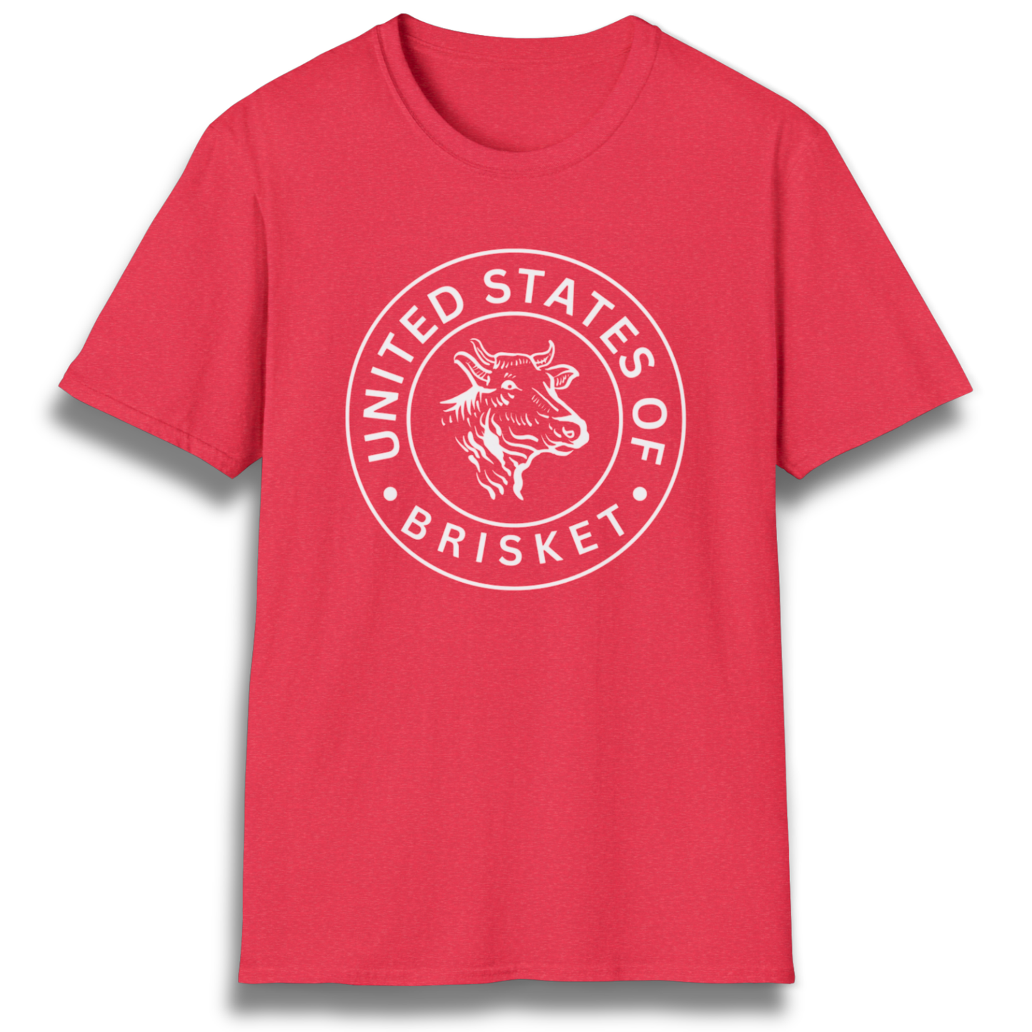 United States Of Brisket T-Shirt
