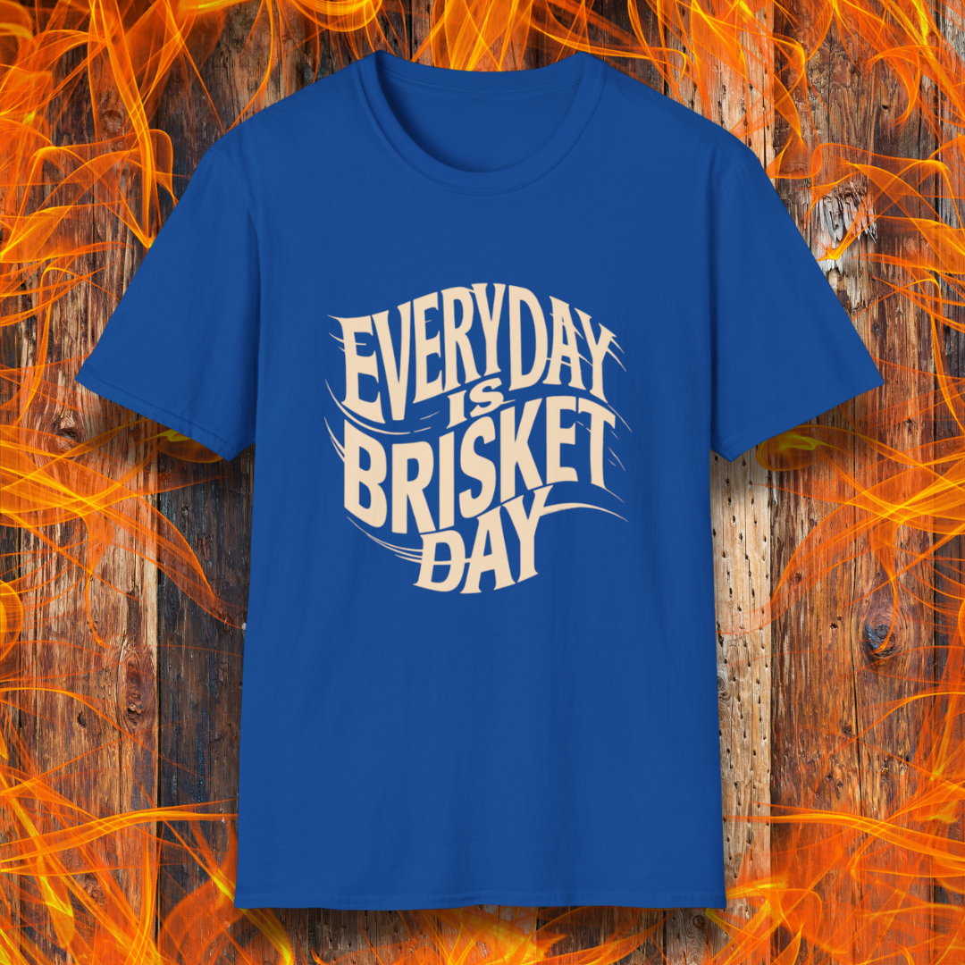 Royal Blue t-shirt featuring the phrase 'Everyday is Brisket Day' in bold, vintage-style typography, perfect for BBQ enthusiasts and brisket lovers.