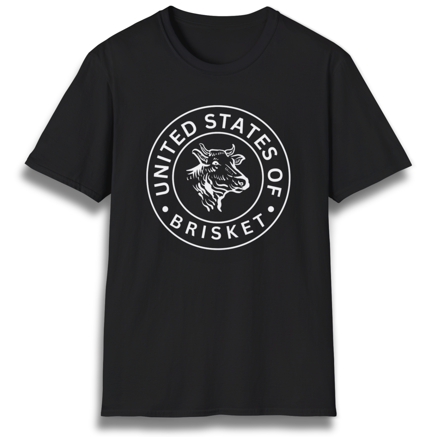 United States Of Brisket T-Shirt
