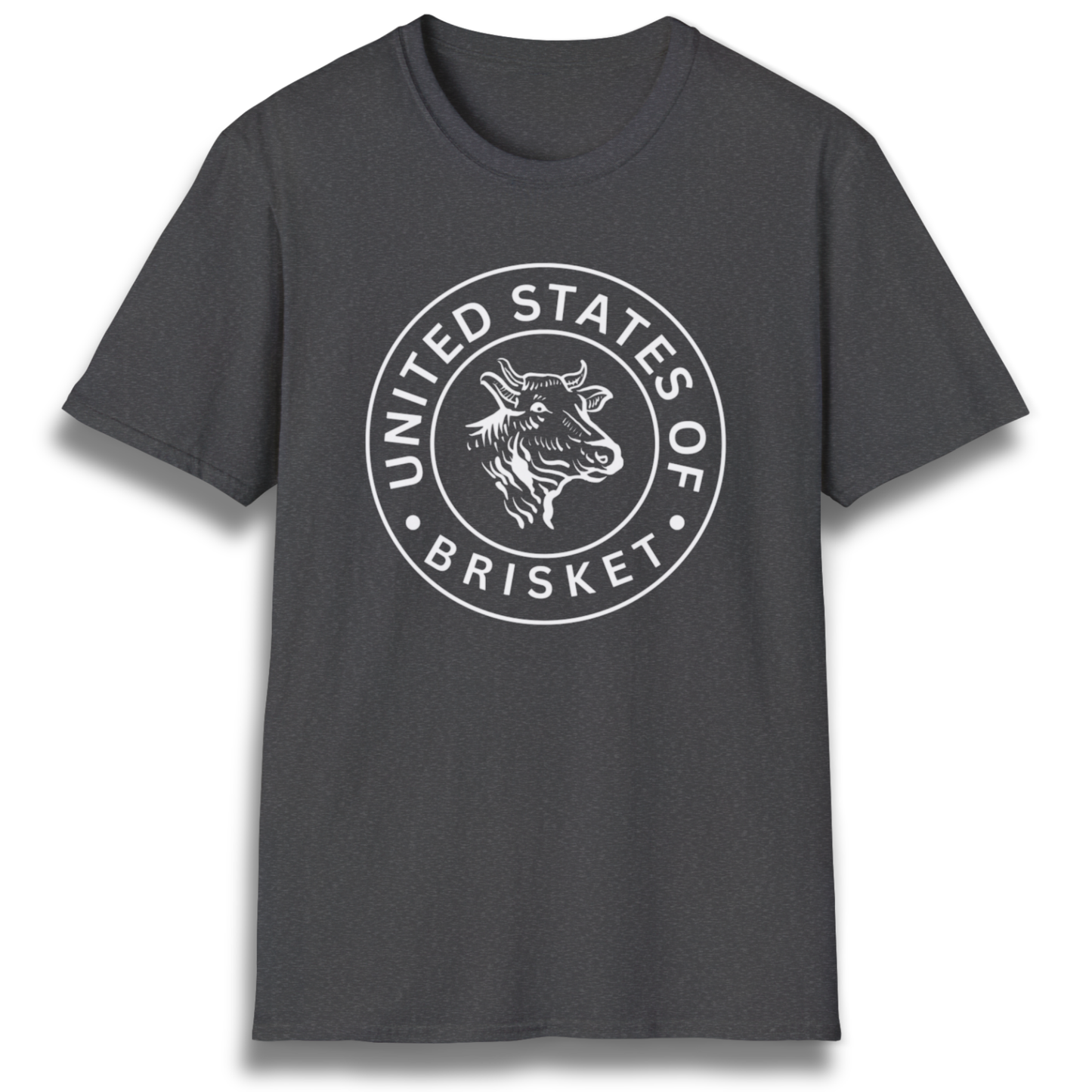 United States Of Brisket T-Shirt