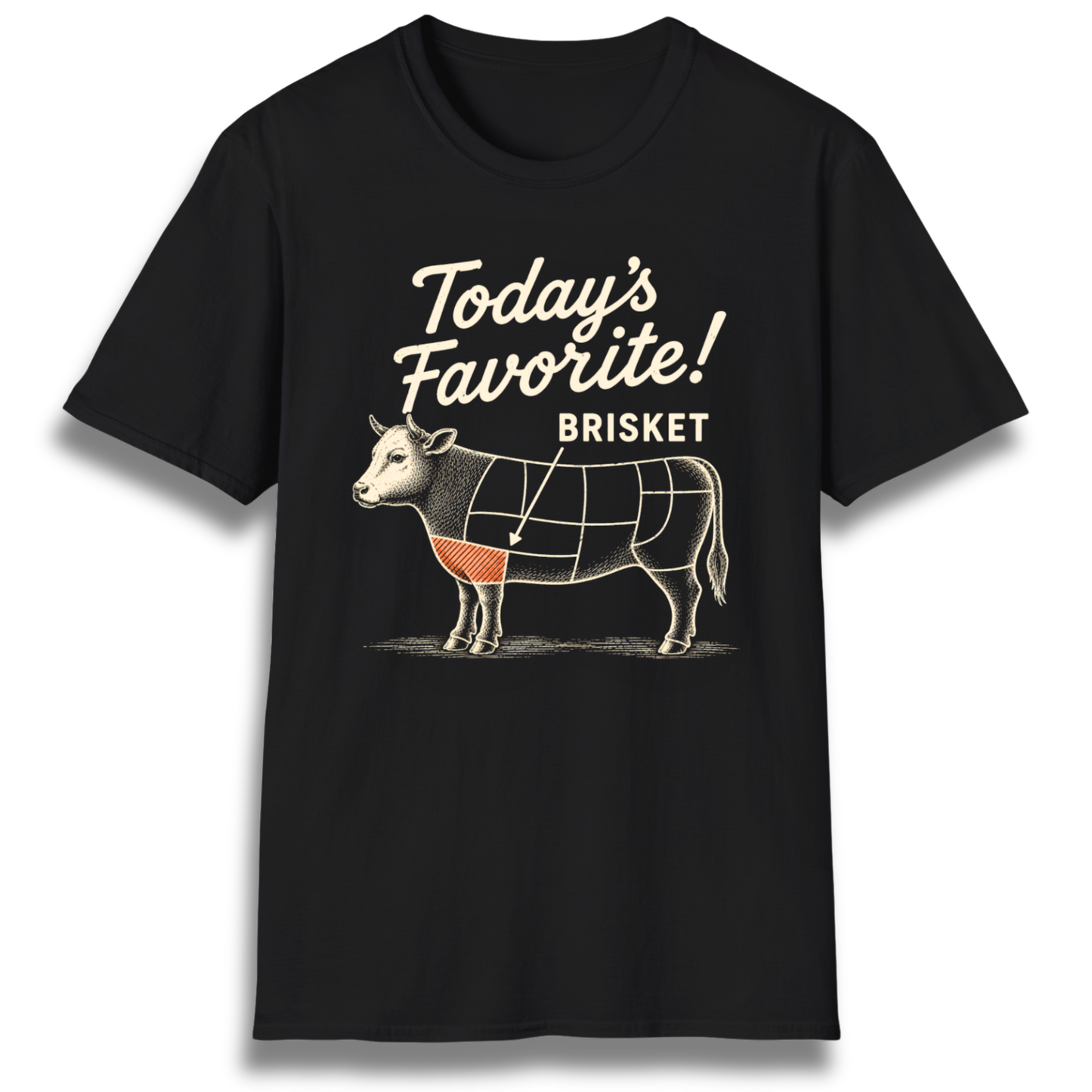 Today's Favorite T-Shirt