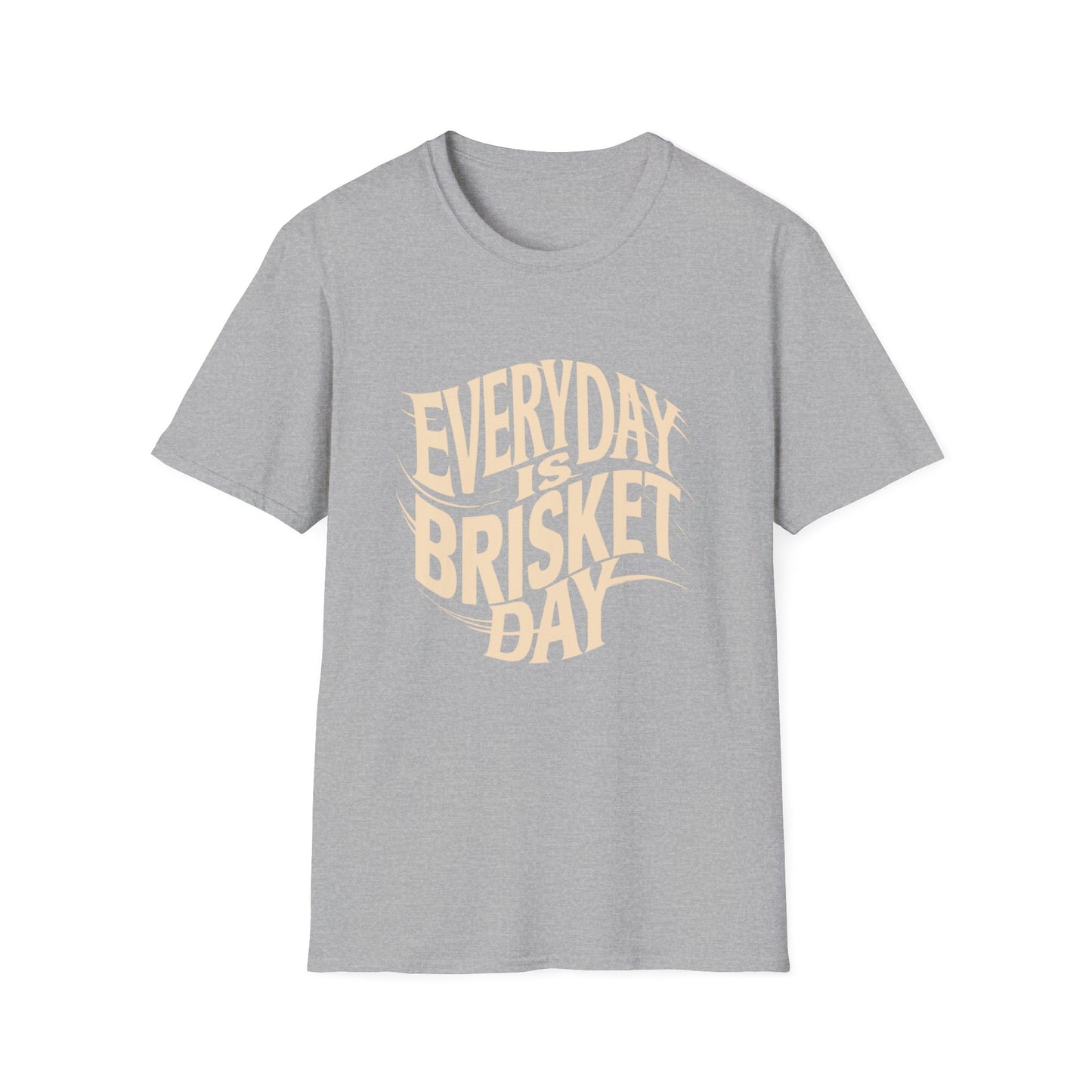 Everyday Is Brisket Day T-Shirt